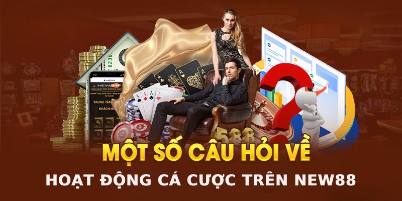Giải đáp câu hỏi thường gặp về tính pháp lý, hoạt động của NEW88