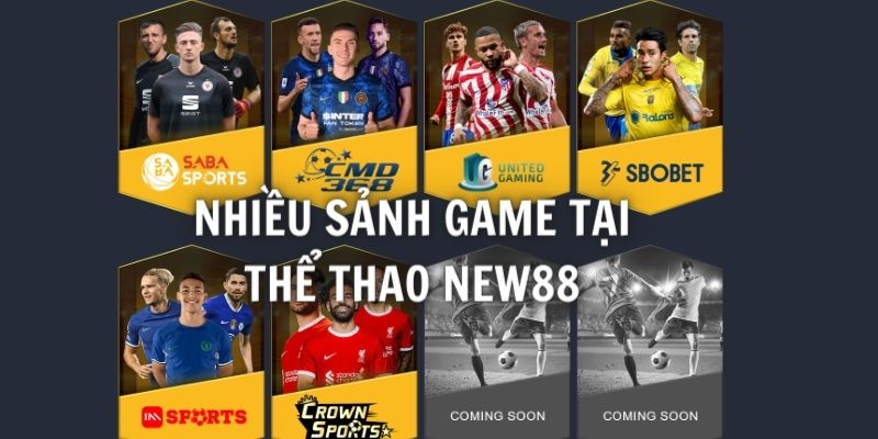 Cá cược thể thao hiện đại với nhiều sảnh game